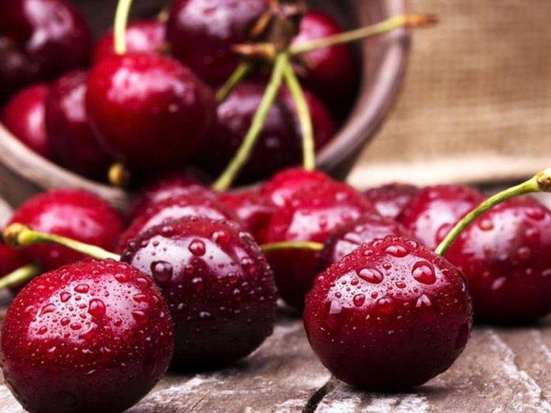Вишня купить саженцы из питомника в Лыткарино
